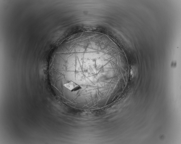 X0000102860867200808251224
