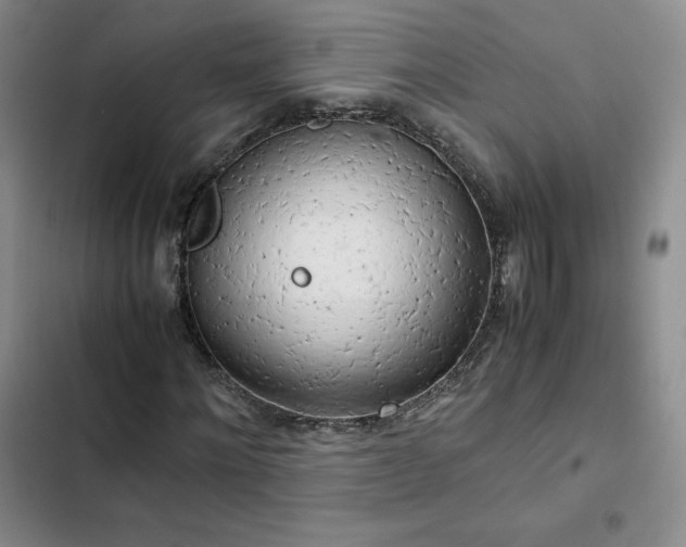 X0000102860868200808251224