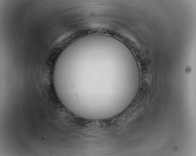 X0000102860869200808251224