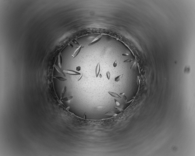 X0000102860870200808251224