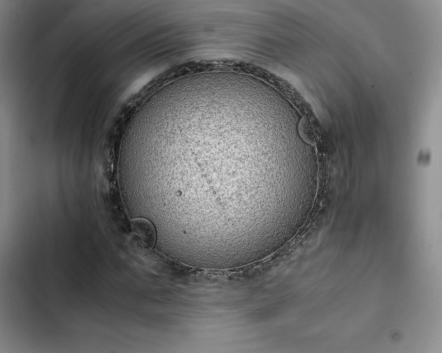 X0000102860871200808251224