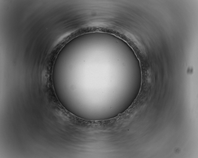 X0000102860872200808251224