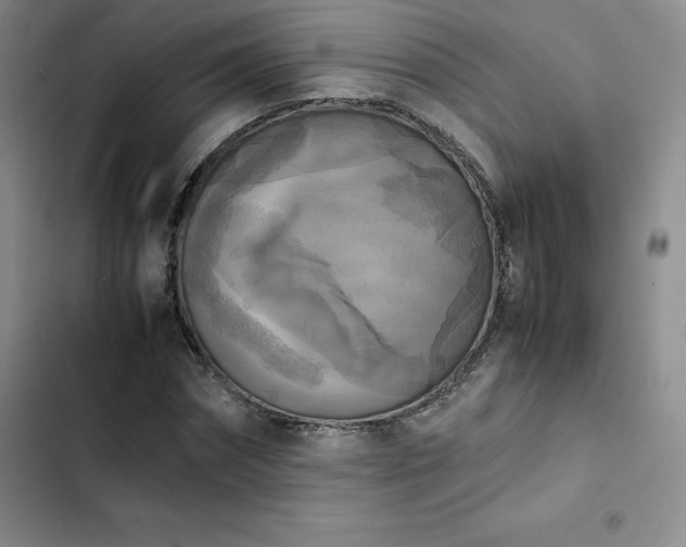 X0000102860874200808251224