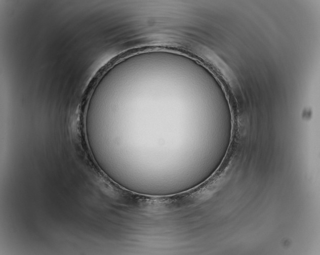 X0000102860875200808251224