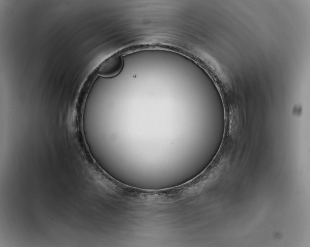 X0000102860876200808251224