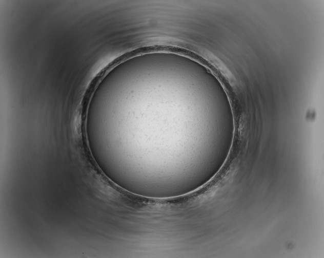 X0000102860877200808251224