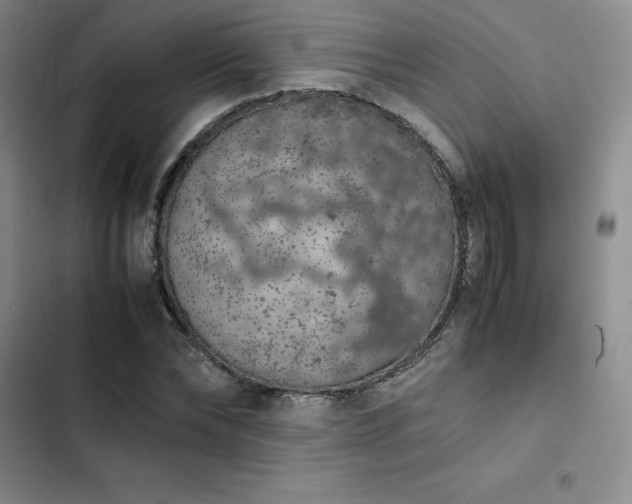 X0000102860878200808251224