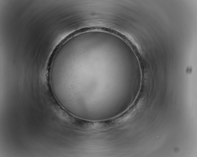 X0000102860879200808251224