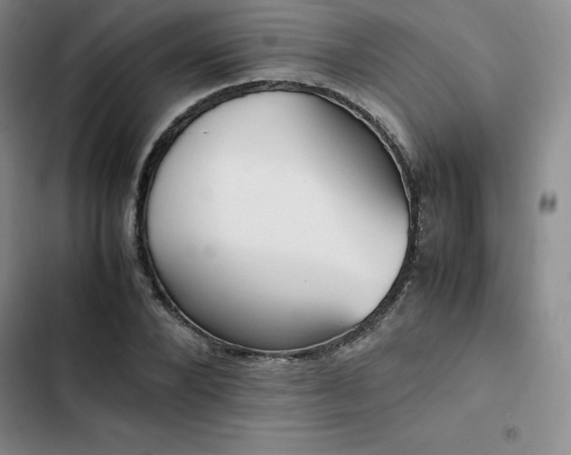 X0000102860880200808251224