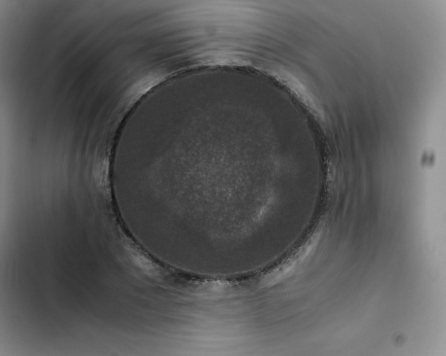 X0000102860881200808251224