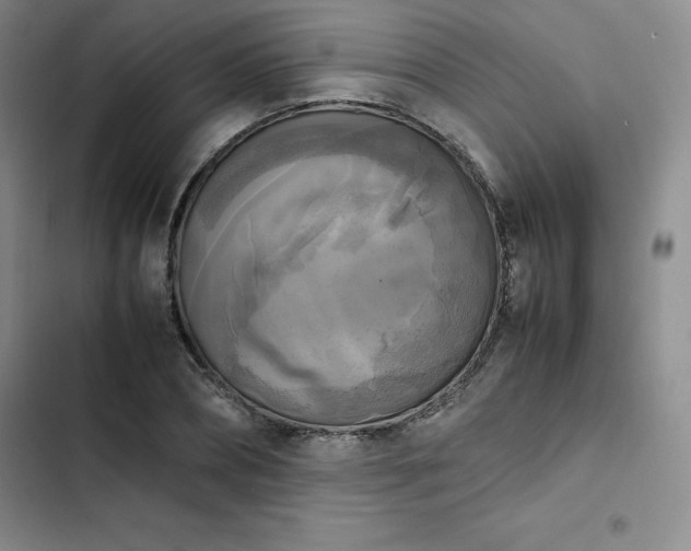 X0000102860882200808251223