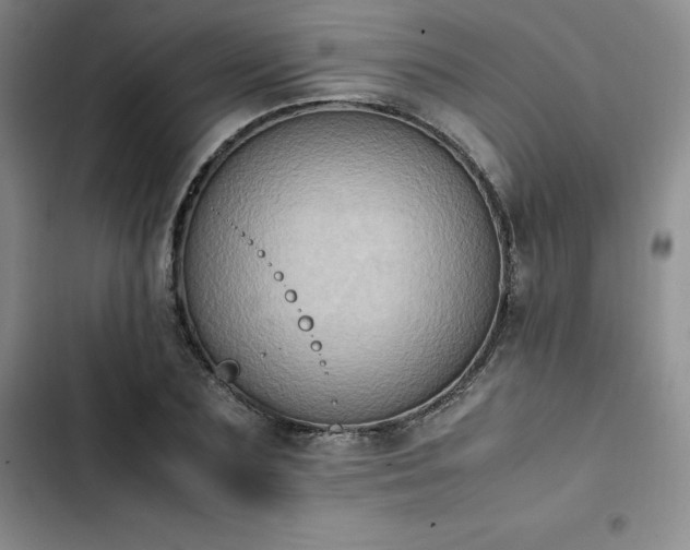 X0000102860883200808251223