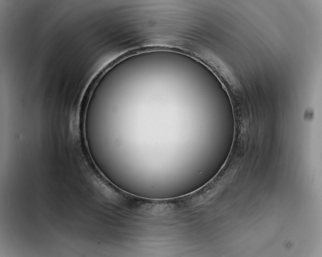 X0000102860884200808251223