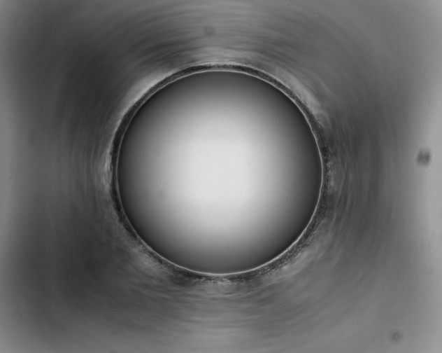 X0000102860885200808251223