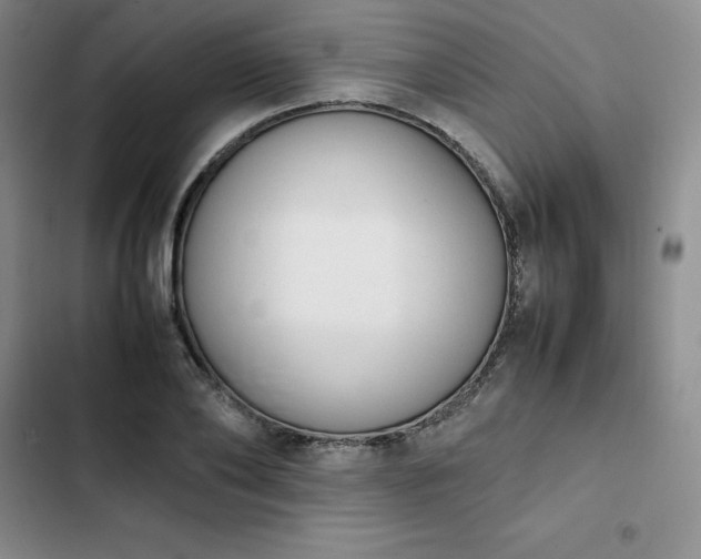 X0000102860886200808251223