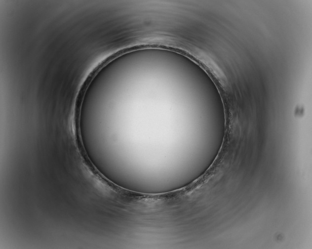 X0000102860888200808251223