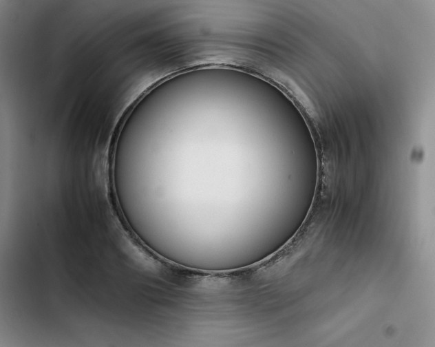 X0000102860890200808251223