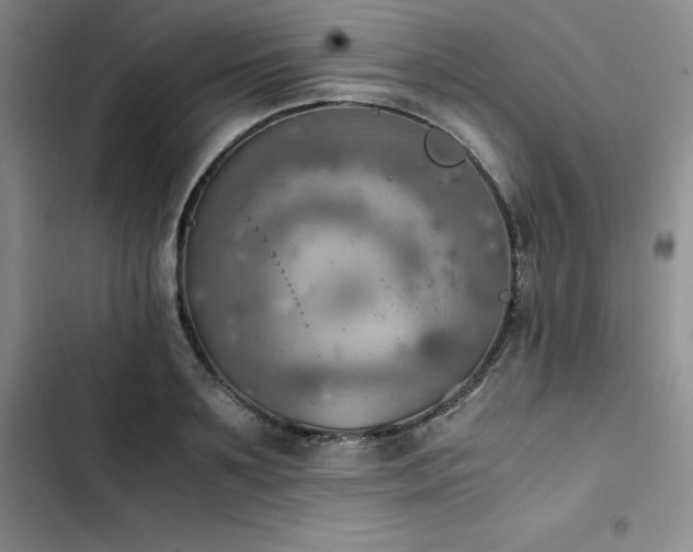 X0000102860891200808251223