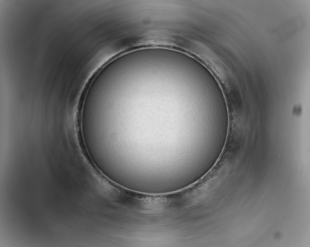 X0000102860893200808251223