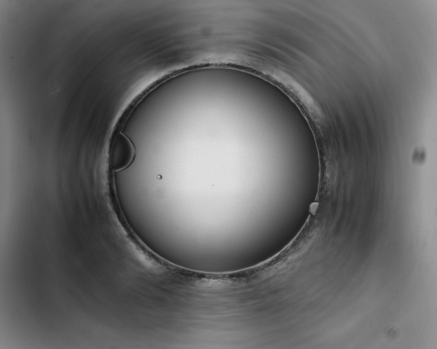 X0000102860894200808251223