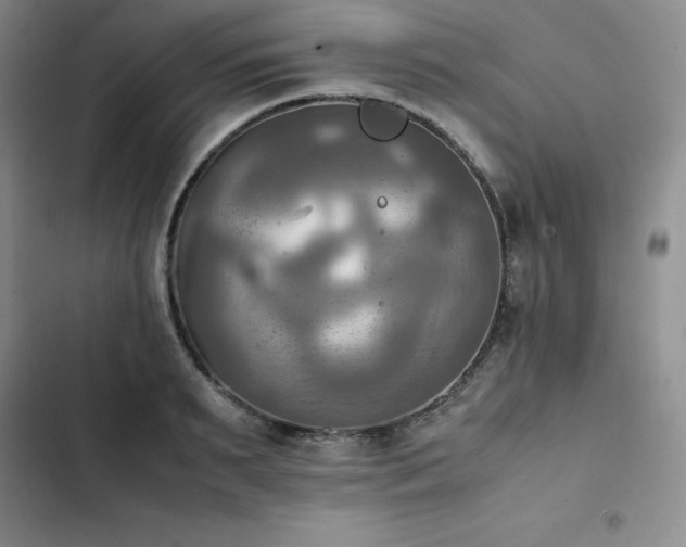 X0000102860895200808251223