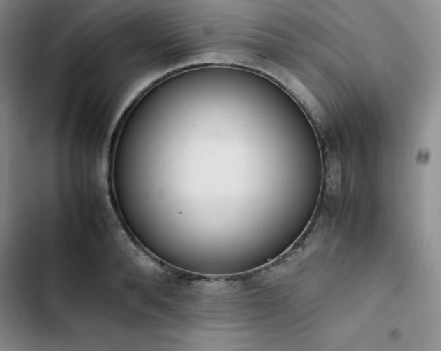 X0000102860896200808251223