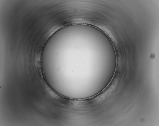 X0000102860897200808251223