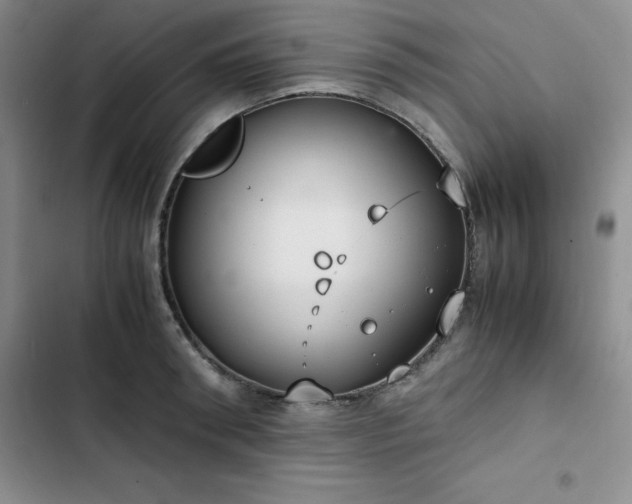 X0000102860898200808251223