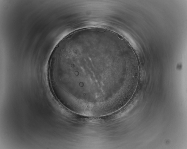 X0000102860899200808251223