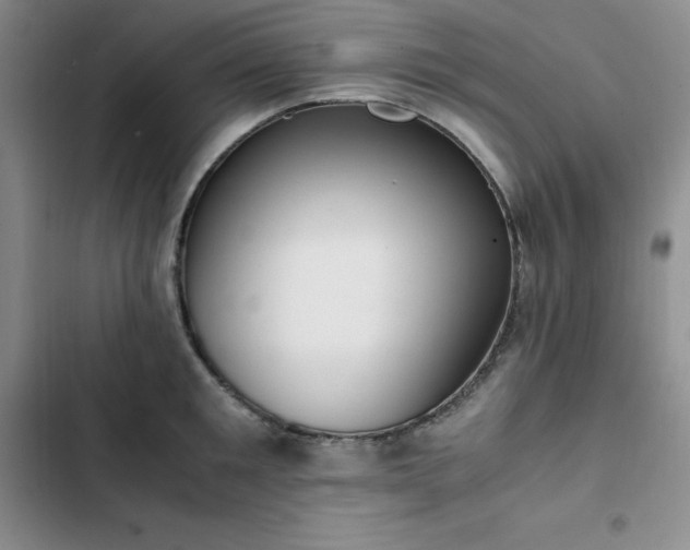 X0000102860901200808251223