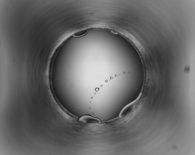 X0000102860902200808251223