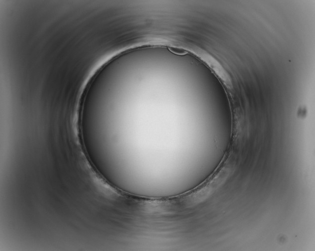 X0000102860904200808251223