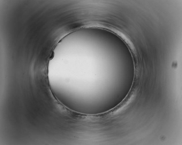 X0000102860905200808251223