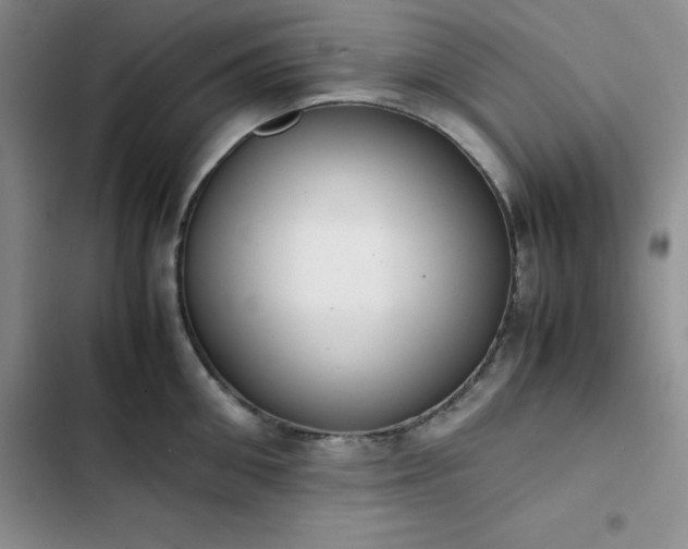 X0000102860906200808251223