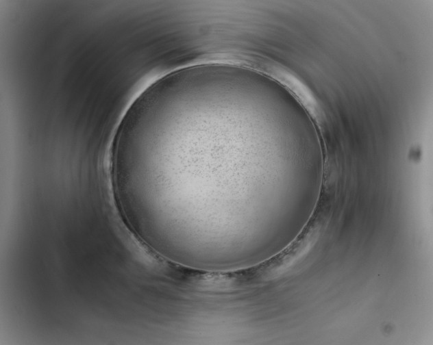 X0000102860907200808251223