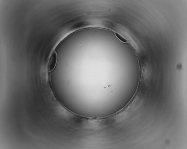 X0000102860908200808251223