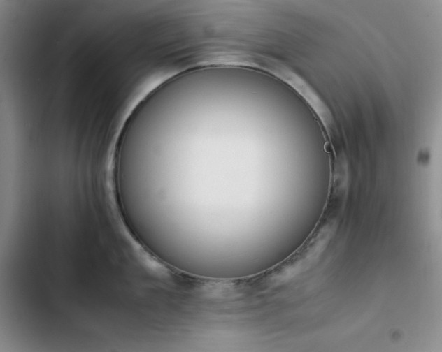 X0000102860909200808251223