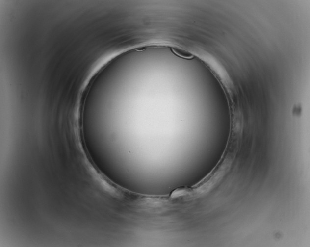 X0000102860910200808251223