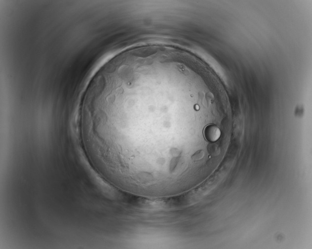 X0000102860911200808251223