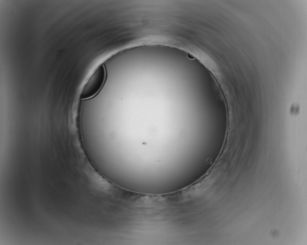 X0000102860912200808251223