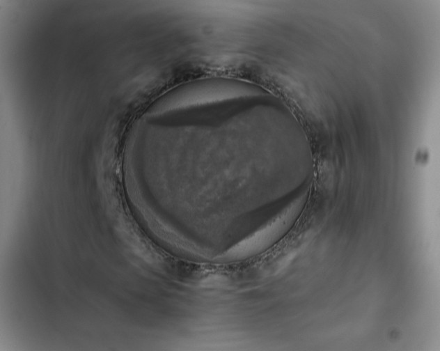 X0000102860913200808251222