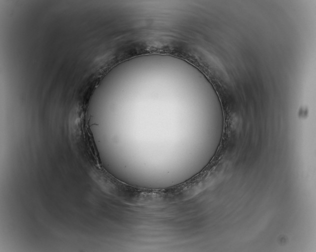 X0000102860914200808251222