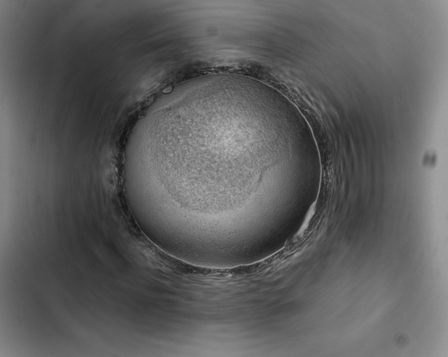 X0000102860916200808251222