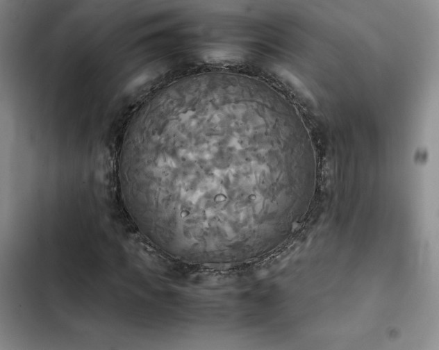 X0000102860917200808251222