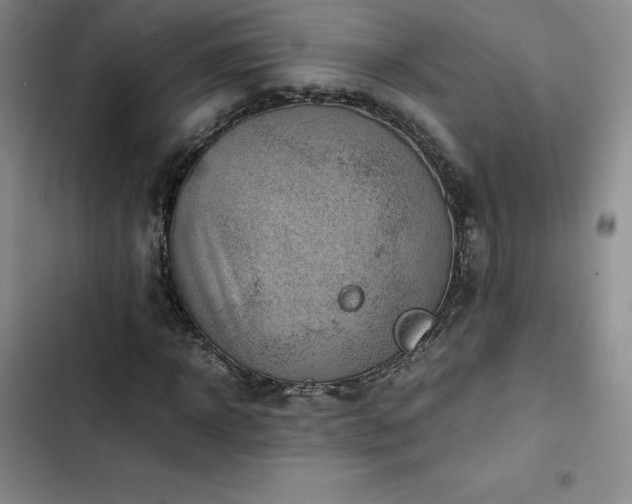 X0000102860918200808251222