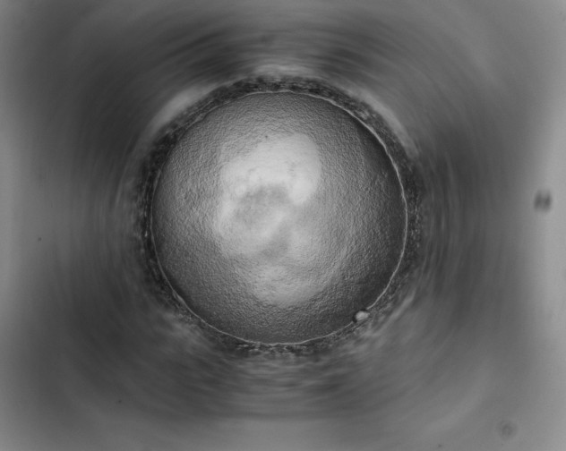 X0000102860919200808251222