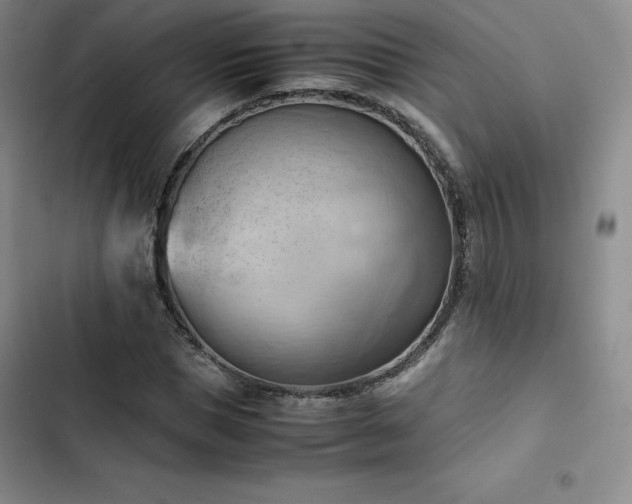 X0000102860921200808251222