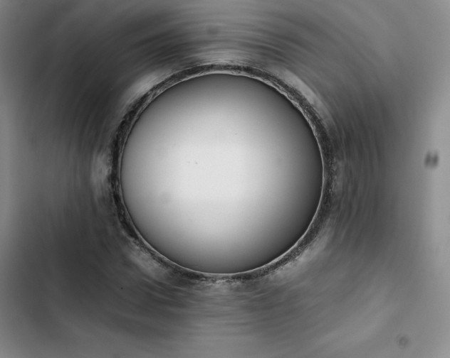 X0000102860922200808251222