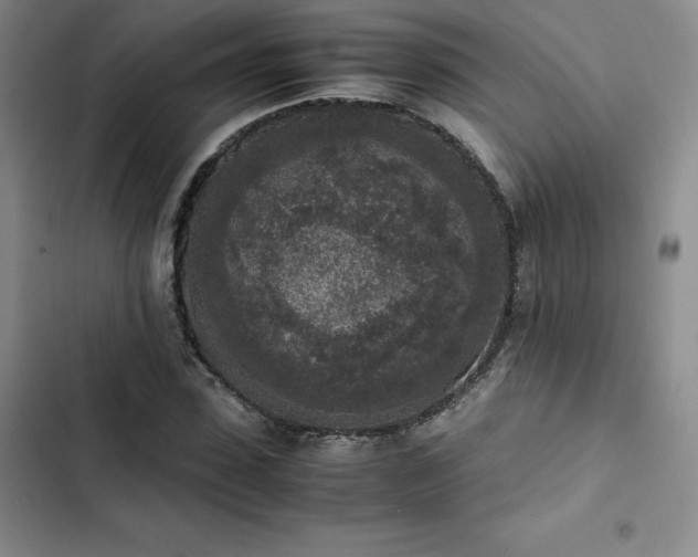 X0000102860923200808251222