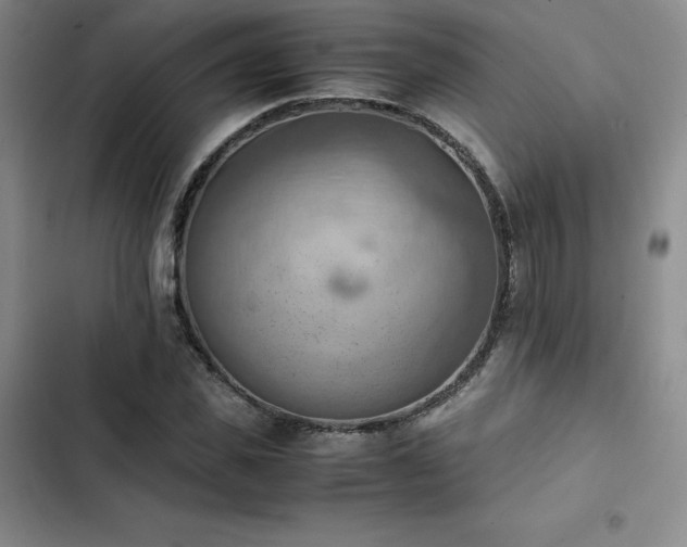 X0000102860925200808251222